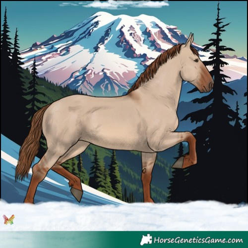 Horse Color:Red Dun 