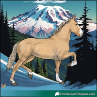 Horse Color:Palomino Dun 