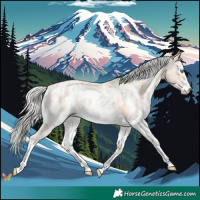 Horse Color:Cremello Sabino and Cremello Sabino