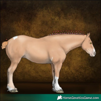 Horse Color:Gold Champagne Splash Tobiano 