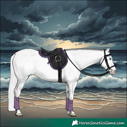 Horse Color:Silver Perlino Roan Dun