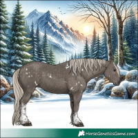 Horse Color:White Spotted Silver Smoky Black Tobiano Rabicano