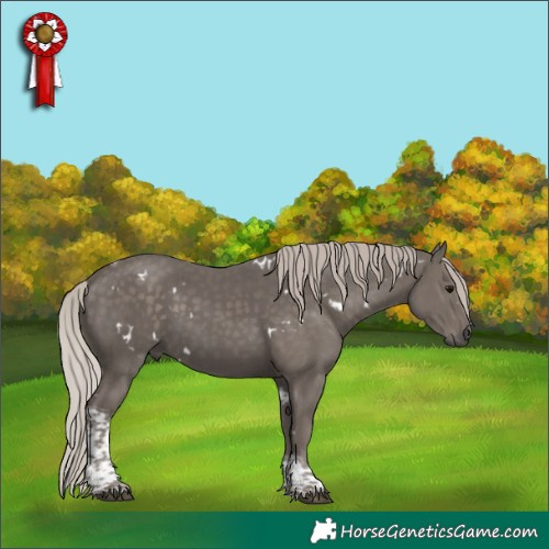 Horse Color:White Spotted Silver Black Tobiano 