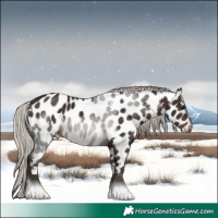 Horse Color:White Spotted Silver Brown Tobiano Appaloosa Rabicano 