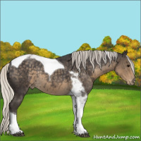 Horse Color:Silver Smoky Black Tobiano Appaloosa Rabicano