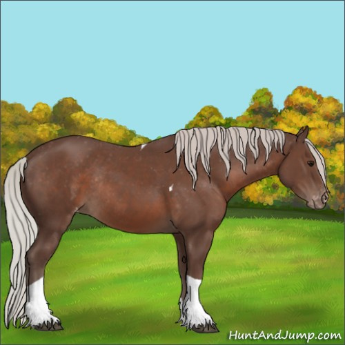 Horse Color:Silver Black Tobiano Appaloosa Rabicano