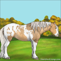 Horse Color:Silver Sable Cream Champagne Splash Tobiano Appaloosa Rabicano