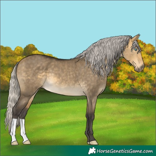 Horse Color:Silver Buckskin Dun Mushroom 