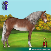 Horse Color:Silver Bay Mushroom Rabicano 