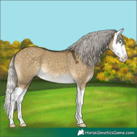 Horse Color:White Spotted Silver Buckskin Dun Splash
