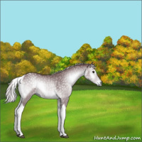 Horse Color:Chocolate Silver Blue Onyx Chinchilla Tobiano 