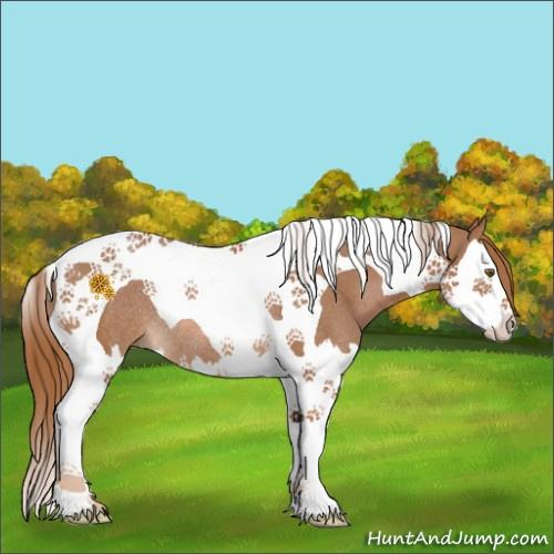 Horse Color:Chestnut Splash Tobiano Rabicano 
