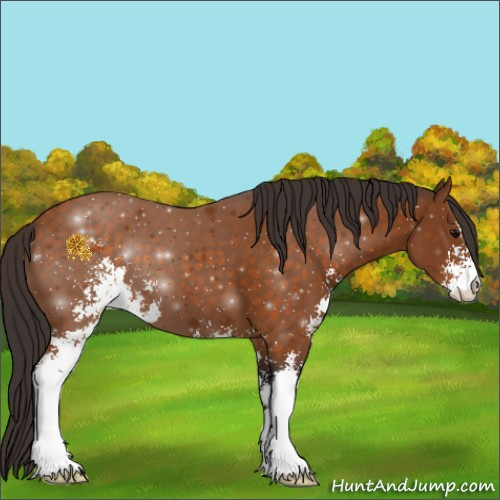 Horse Color:Buckskin Sabino 