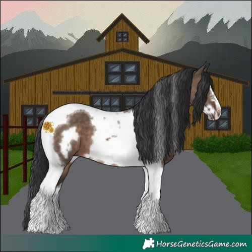 Horse Color:Brown Dun Tobiano Frame 