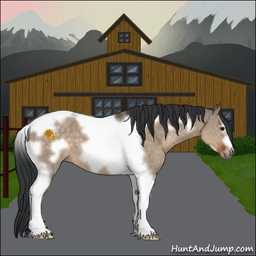 Horse Color:Brown Dun Tobiano Frame 