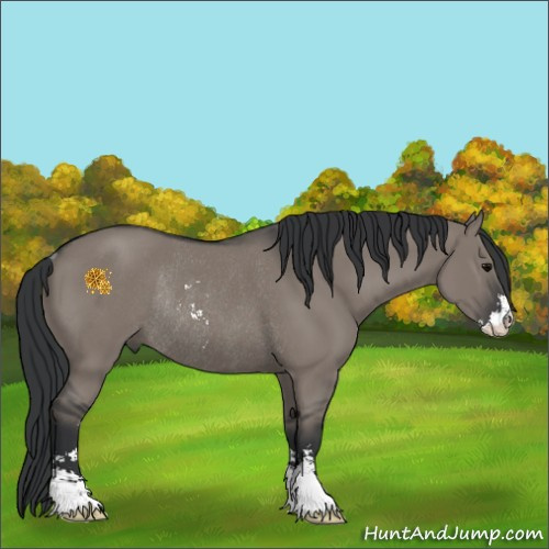 Horse Color:Grullo Sabino Rabicano 