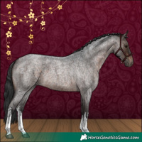 Horse Color:White Spotted Brown Roan
