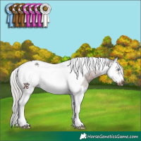 Horse Color:Silver Brown Splash Tobiano Frame 