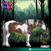 Horse Color:Liver Chestnut Splash Tobiano  and White Spotted Liver Chestnut Splash Tobiano Frame 