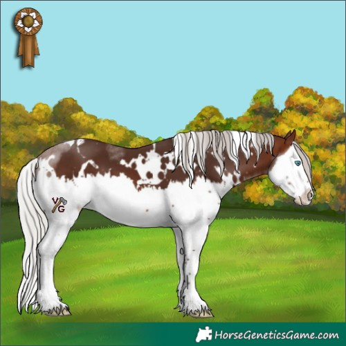 Horse Color:White Spotted Silver Brown Splash 