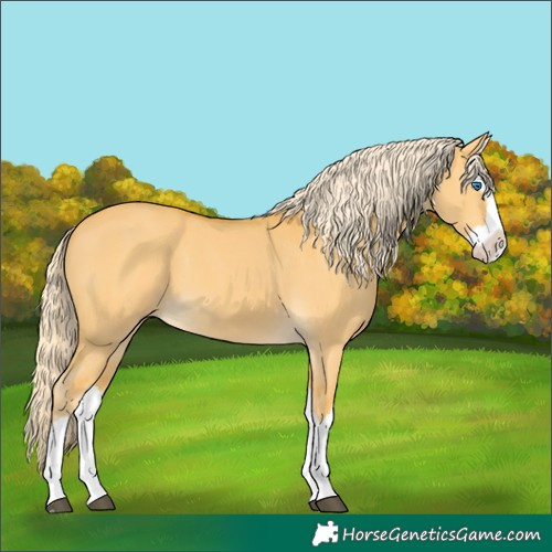 Horse Color:Palomino Dun Splash 