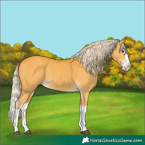 Horse Color:Palomino Splash 