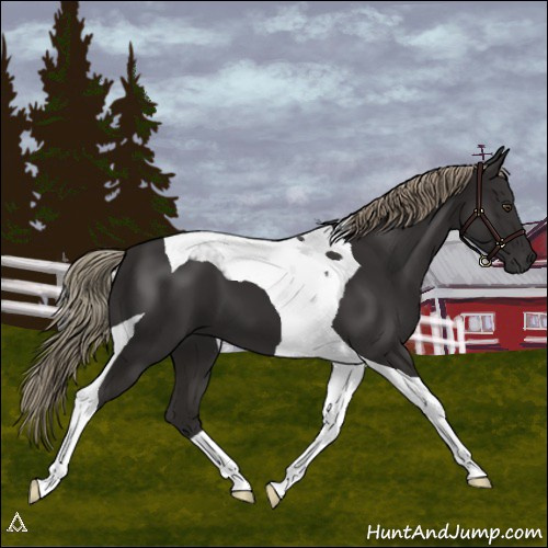 Horse Color:Liver Chestnut Tobiano 
