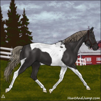 Horse Color:Liver Chestnut Tobiano 