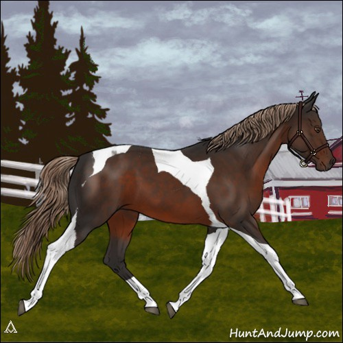 Horse Color:Liver Chestnut Tobiano 