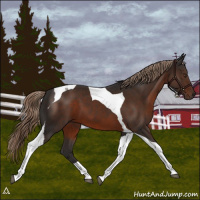 Horse Color:Liver Chestnut Tobiano 