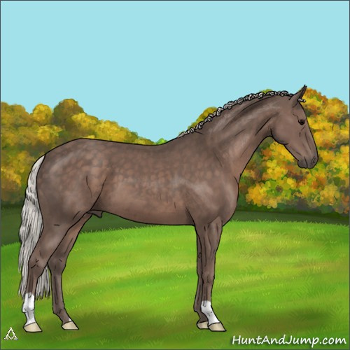 Horse Color:Silver Black 