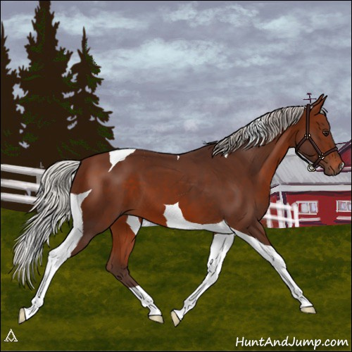 Horse Color:Silver Brown Tobiano
