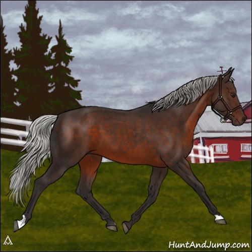 Horse Color:Silver Brown 
