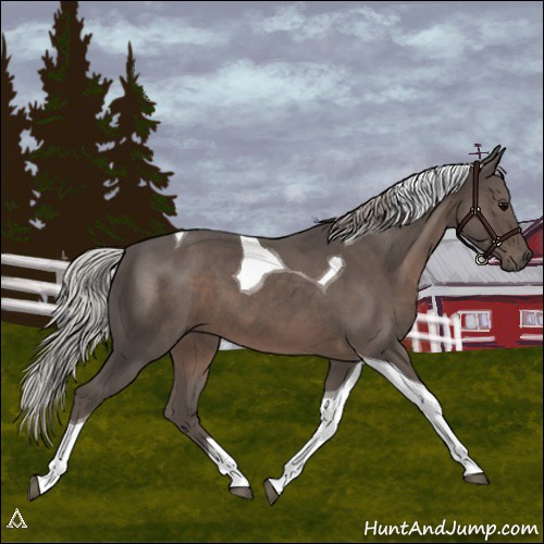 Horse Color:Silver Black Tobiano 