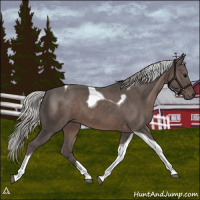 Horse Color:Silver Black Tobiano 