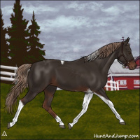 Horse Color:Liver Chestnut Tobiano 