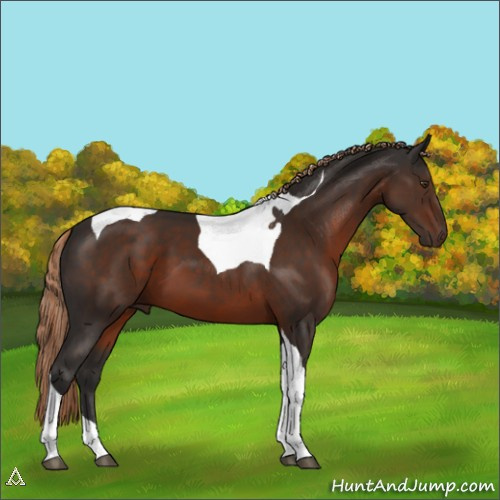 Horse Color:Liver Chestnut Tobiano 