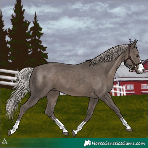 Horse Color:Silver Black 