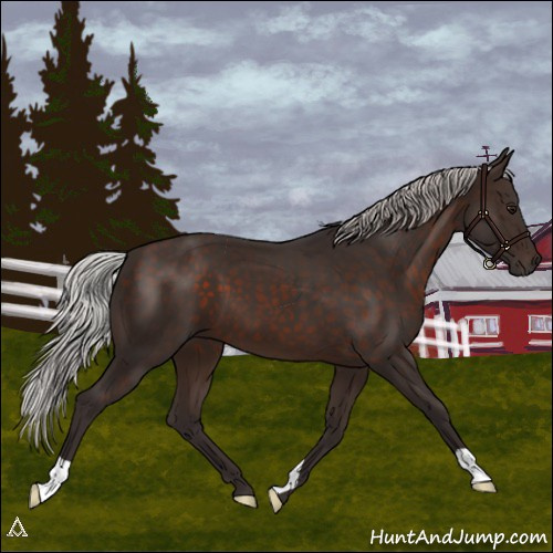 Horse Color:Silver Brown 