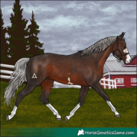 Horse Color:Silver Brown 