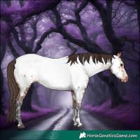 Horse Color:Bay Ice Tobiano Appaloosa 