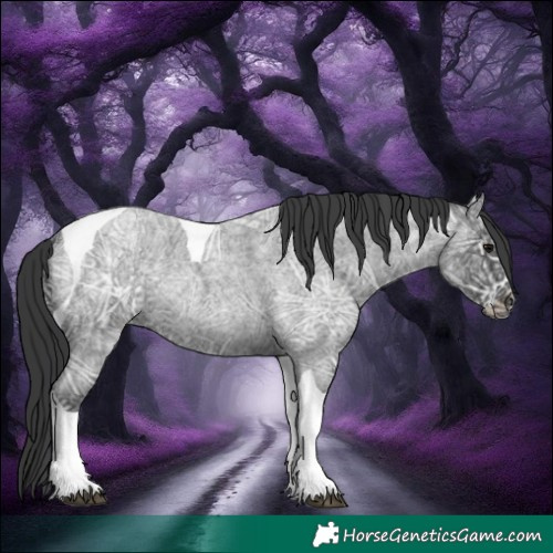 Horse Color:Blue Ice Roan Tobiano 