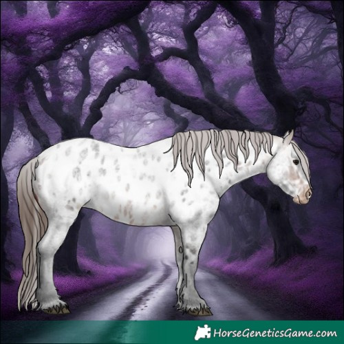 Horse Color:Bay Ice Roan Near Leopard 