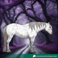 Horse Color:Bay Ice Roan Appaloosa 