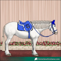 Horse Color:Perlino Roan Dun