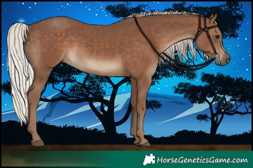 Horse Color:Silver Black 