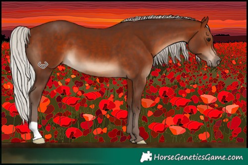 Horse Color:Silver Bay