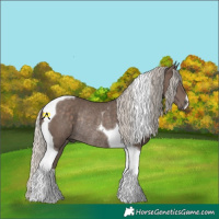 Horse Color:Silver Black Tobiano Rabicano