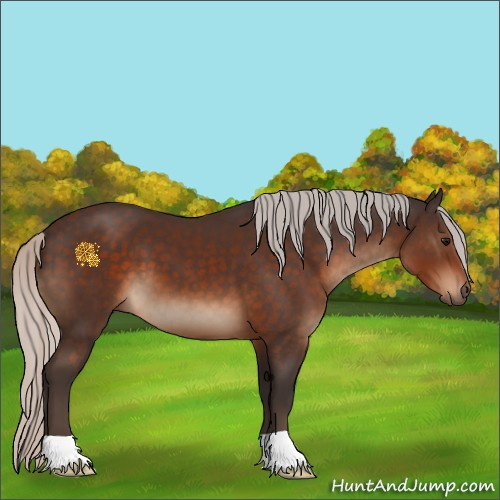 Horse Color:Silver Brown 