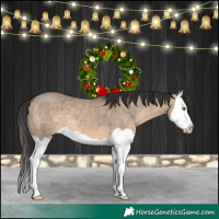 Horse Color:Brown Dun Splash 